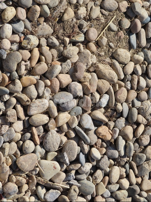 패턴,돌멩이,돌,암석,자유분방,회색,흰색,여러개,돌바닥,모여있는,지압,pattern,stone,rock,freestanding,gray,white,several,stonefloor,텍스처,질감,패턴,texture,pattern