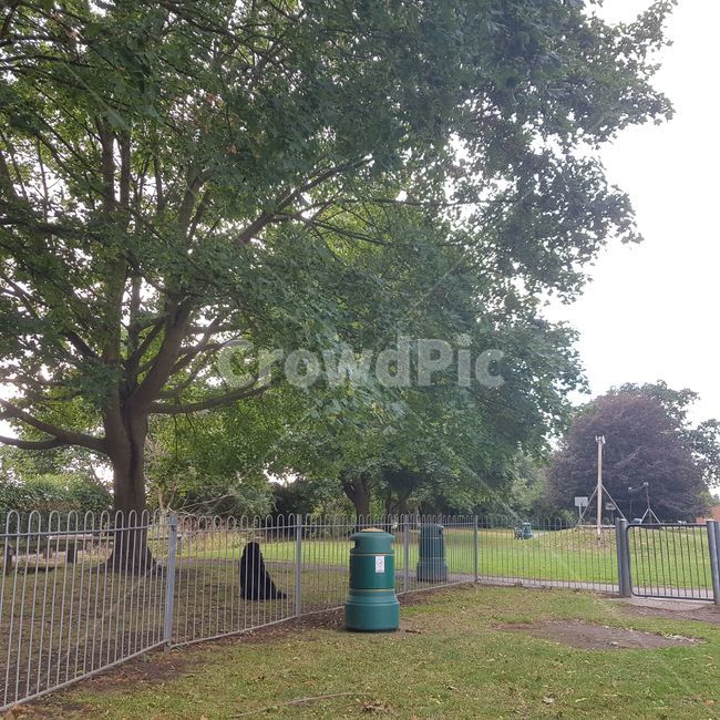 nature,자연,outdoor,옥외,tree,나무,grass,잔디