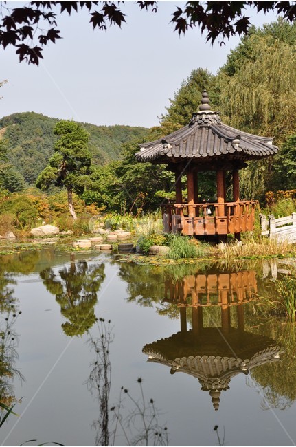 연못,풍경,자연,감성,쉼터,자연,풍경,nature,landscape,한국자연풍경,한국자연경관,korea nature landscape,한국전통,한국문화,korean traditional,korean culture