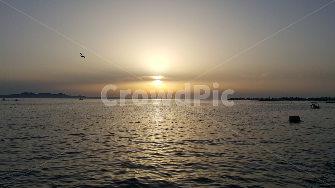 석양,일몰,노을,바다,새,하늘,태양,해,sunset,sea,ocean,bird,sky,sun