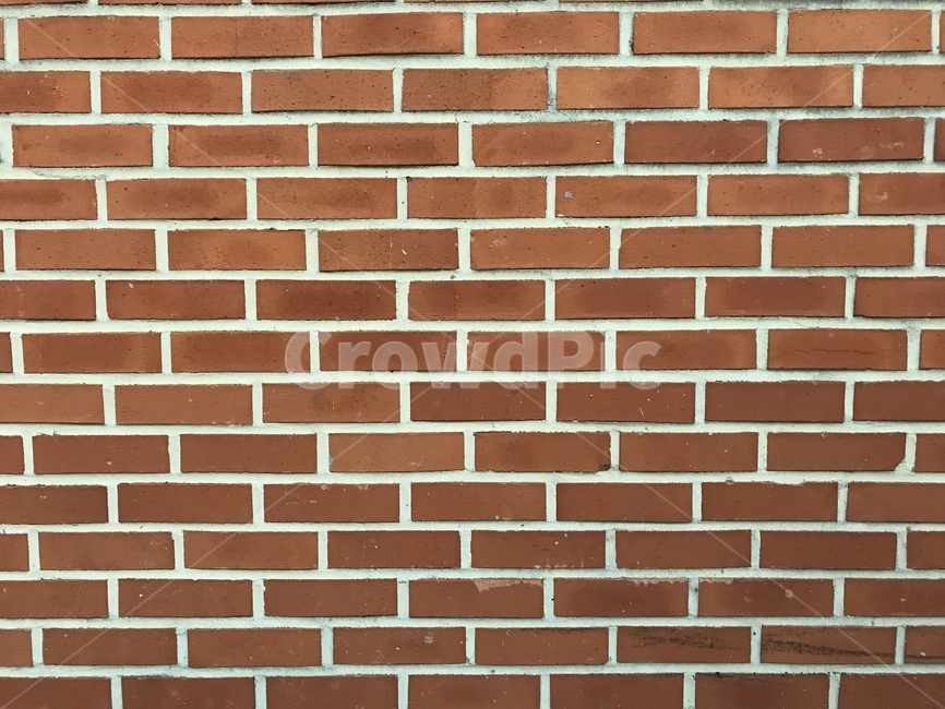 brick,벽돌,wall,벽,담장