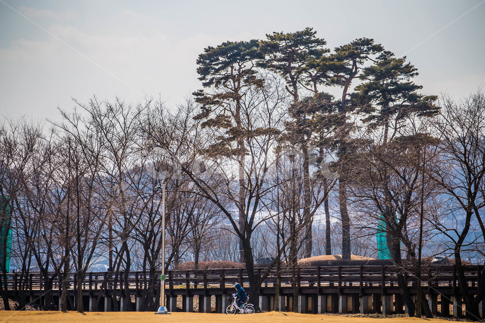 풍경,나무,자전거,공원,아이,겨울,계절,winter,season,사람,인물,인간,human,person,어린이,어린아이,child,children,kid