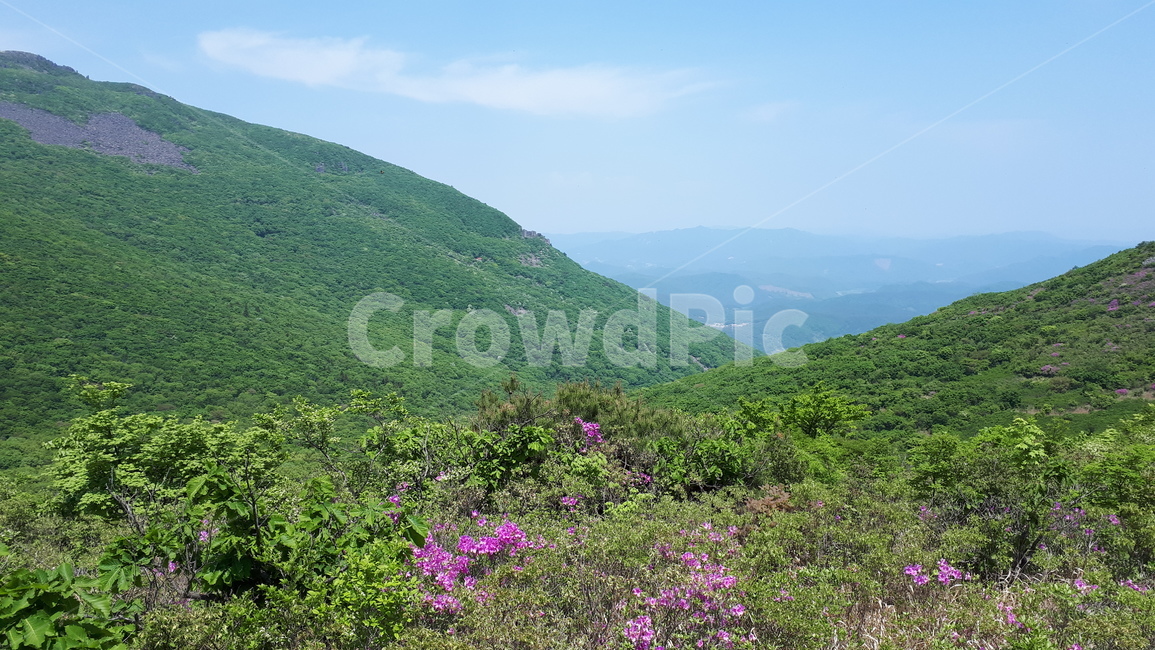 nature,자연,언덕,hill,한지방