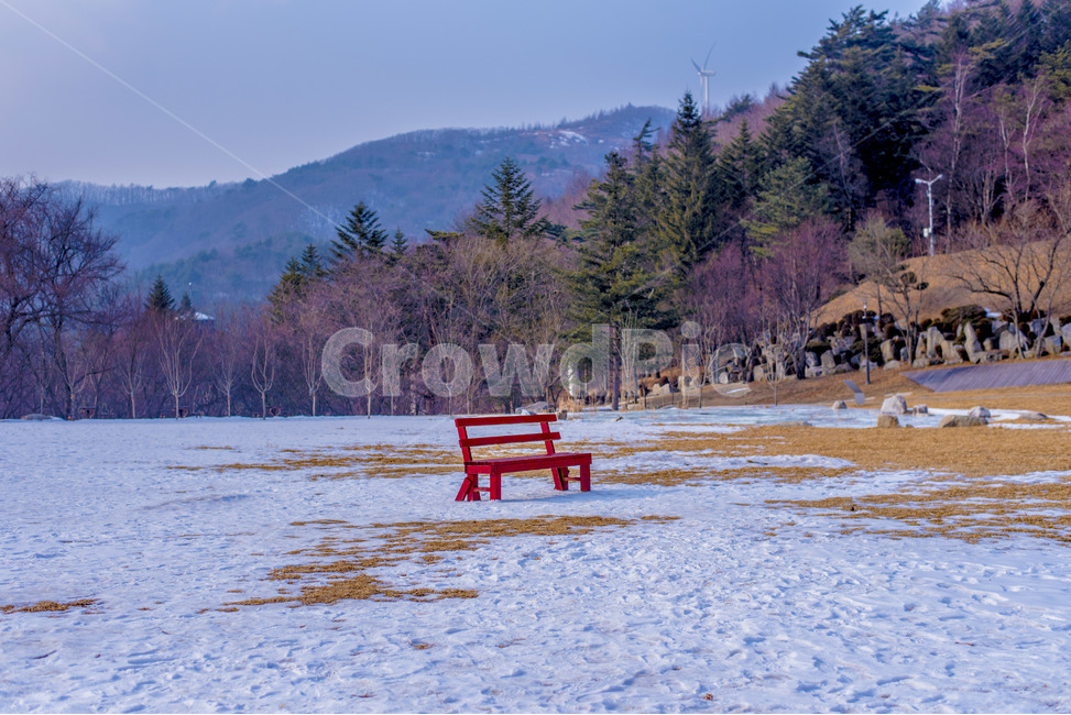 자연,풍경,의자,숲,눈,겨울,계절,winter,season,자연,풍경,nature,landscape,사물,물건,오브젝트,thing,object,matter,bench,벤치,tree,나무,plant,식물,fir,전나무