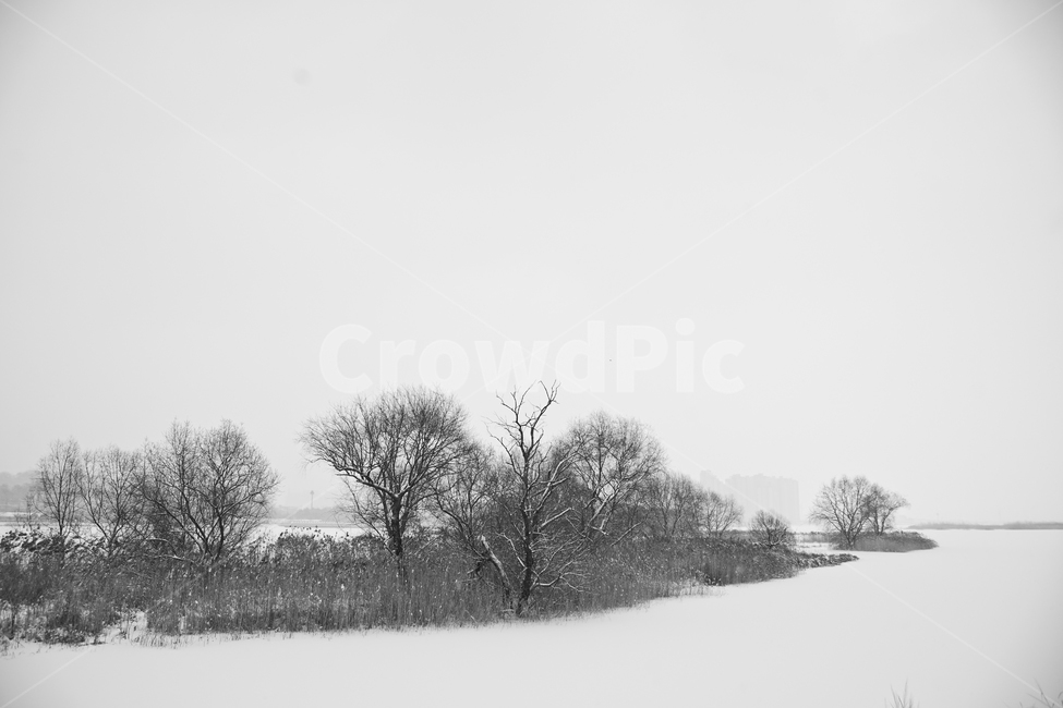 겨울,눈,흰눈,호수,섬,자연,풍경,얼음,얼음판,빙판,겨울,계절,winter,season,자연,풍경,nature,landscape,흑백,모노톤,monochrome,black and white,outdoors,옥외