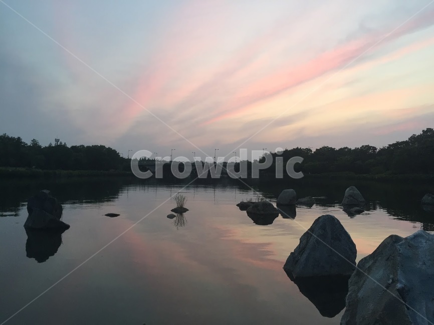 pinkclouds,핑크구름,하늘,구름,sky,pinksky,lake,호수,일산호수공원