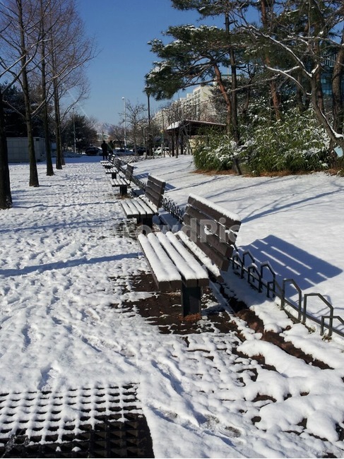 겨울눈,설경,겨울배경,폭설,눈길,겨울,계절,winter,season,자연,풍경,nature,landscape