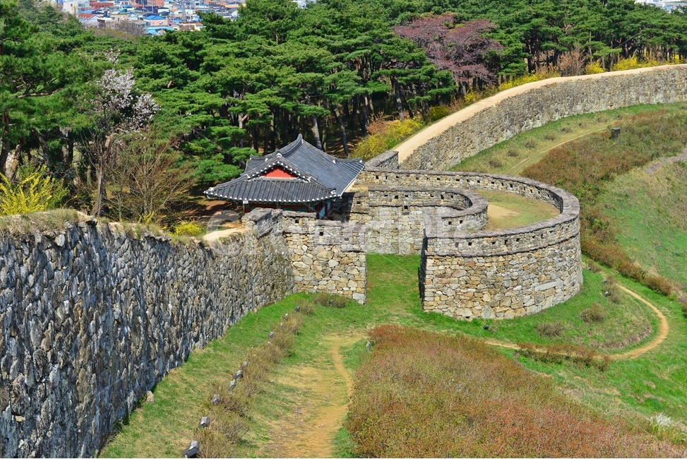 nature,자연,landscape,경치,outdoors,옥외,scenery,풍경,고창,고창읍성,모양성,고창읍성봄,봄,계절,벚꽃,벚나무,꽃