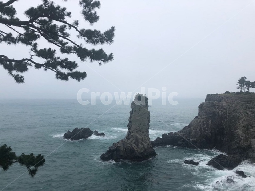 제주도,제주,외돌개,흐림,바다,풍경,비,물안개