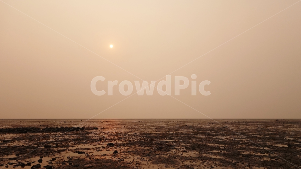 바다,해변,태양,썰물,갯벌,sea,자연,자연,풍경,nature,landscape,weather,날씨,outdoors,옥외