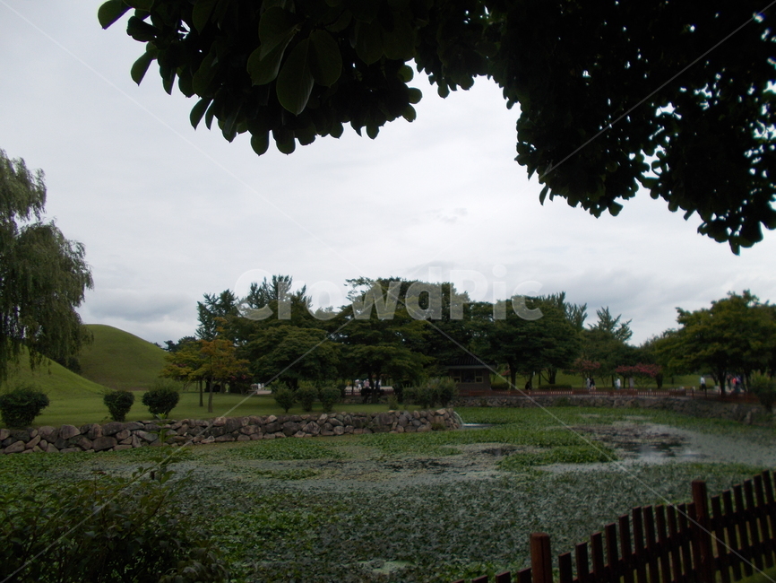 경주,천마총,gyeongju,문화재,풍경,landscape