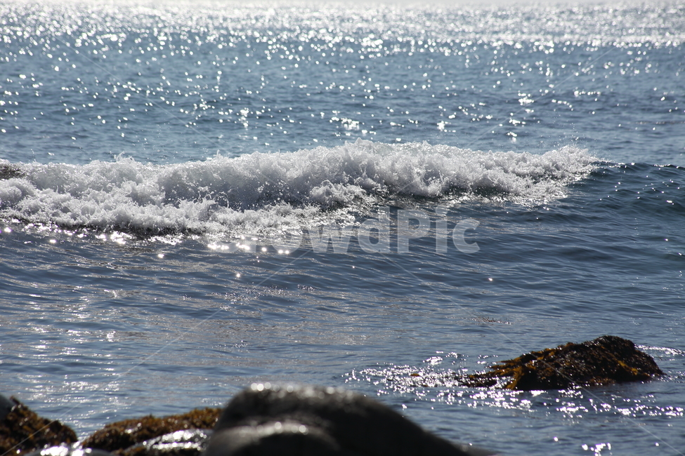 물결,바다,파도,sea,wave,동해바다,자연,풍경,nature,landscape,ocean,대양,outdoors,옥외,water,물