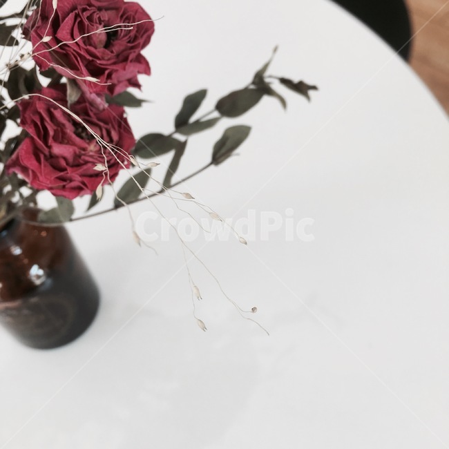 장미,꽃,화병,꽃병,데코,plant,식물,blossom
