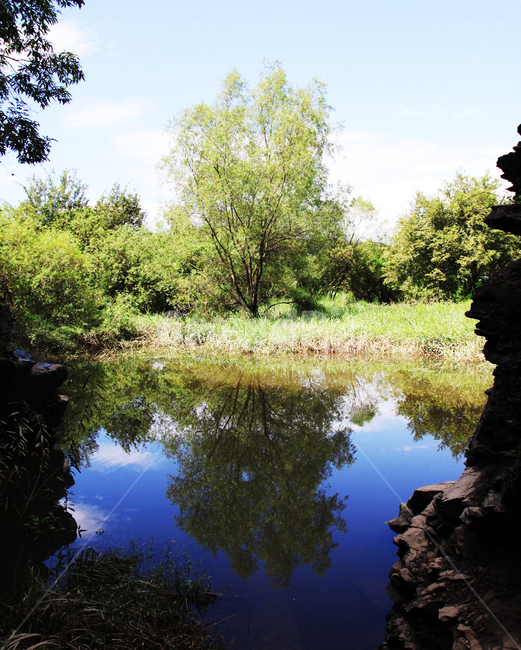 water,물,nature,자연,옥외,outdoors,나무,반영