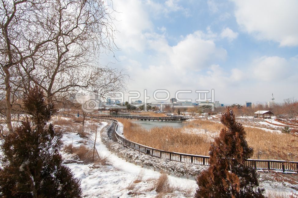 대전,한밭수목원,동원,둔산대공원,풍경,1월,산책로,자연,경치,겨울풍경,눈,설경,도심공원,공원,nature,snow,winter,park,landscape