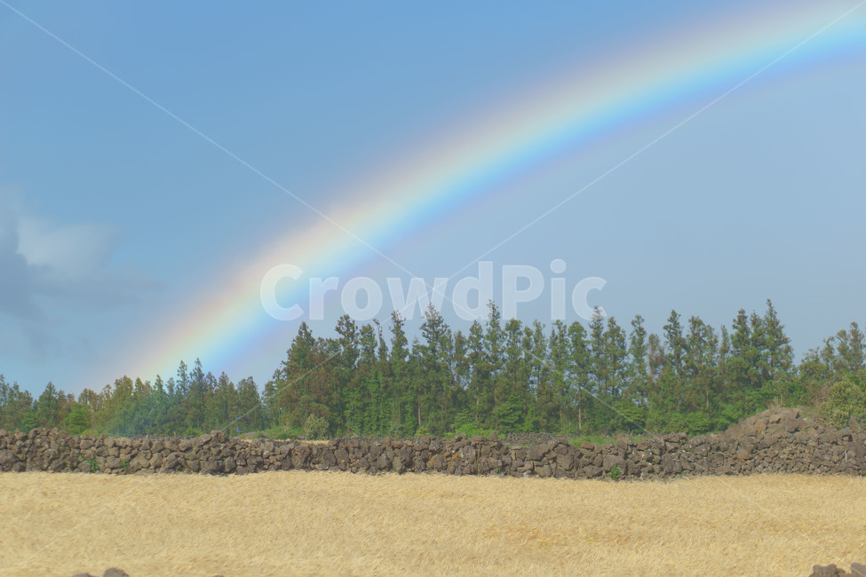 무지개,제주,하늘,밭,풍경,자연,rainbow