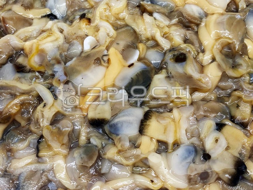 바지락조개,바지락,조개살,수산물,해산물,신선한,음식,식재료,어패류,조개류,수중생물,해양생물,식품,음식재료,clam,clammeat,aquaticproduct,seafood,fresh,ingredients,shellfish,aquaticlife,marinelife,food,foodingredients