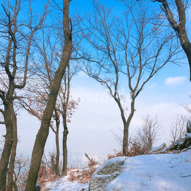풍경,산,설산,눈,자연,필터,겨울,나무,하늘,겨울,계절,winter,season,자연,풍경,nature,landscape,tree trunk,나무 줄기,tree,plant,식물