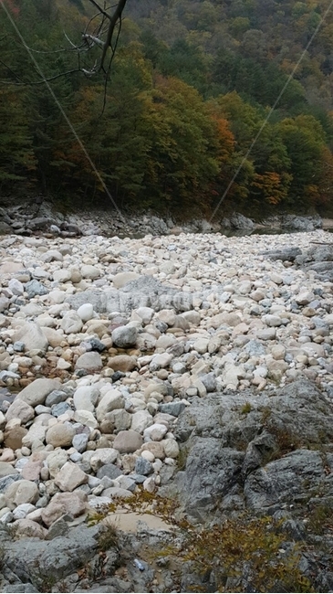 가을풍경,설악산,자갈,단풍,자연,물,가을