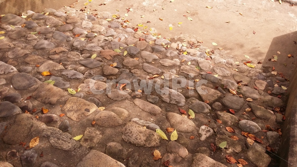 낙엽,길,계단,햇빛,가을,나뭇잎,가을,계절,fall,autumn,season,ground,바닥