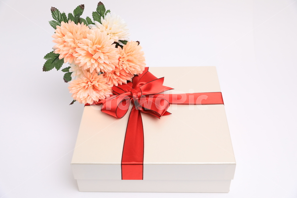 상자,선물상자,꽃,조화,기념일,생일,기프트,아름다운,리본,꽃,flower,기념일,축하,anniversary,congratulation,celebrate,celebration,사물,물건,오브젝트,thing,object,matter,누끼,remove background