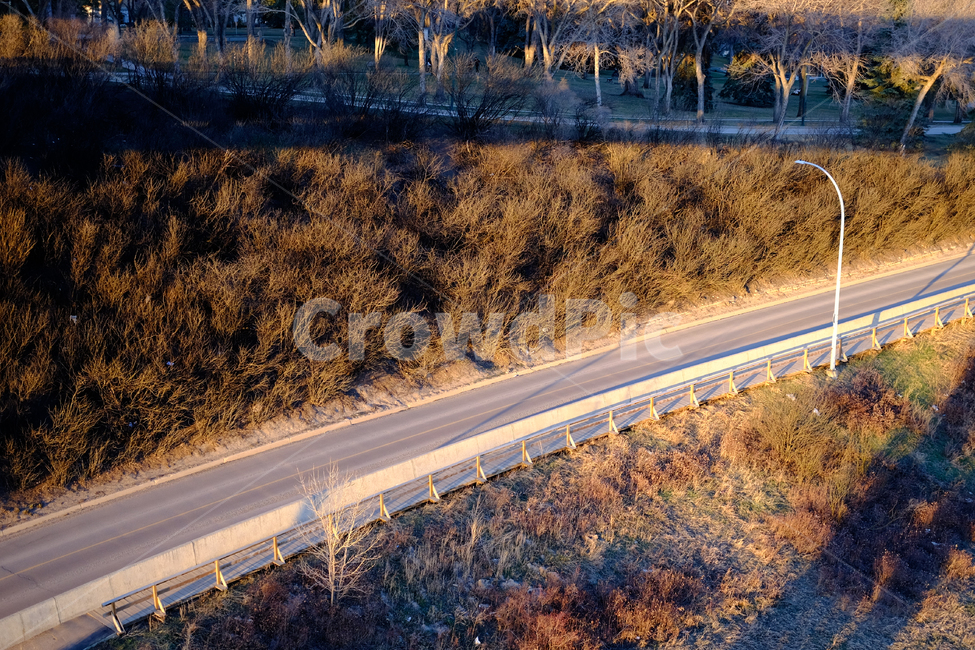 캐나다,canada,에드먼튼,edmonton,알버타,alberta,겨울,쌀쌀,겨울풍경,도로,차도,자연,풍경,nature,landscape,도시,city,road
