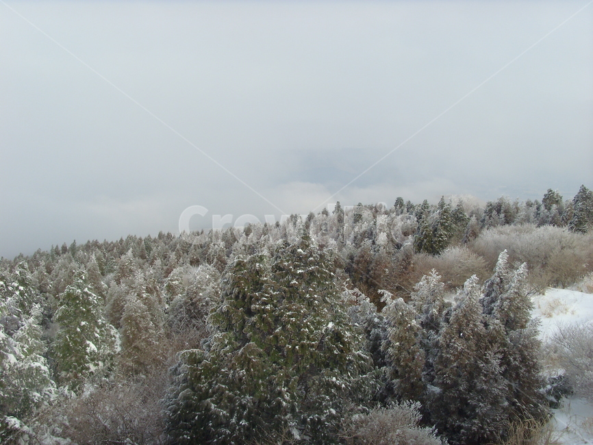 겨울,산,눈,겨울산,숲,winter,snow,mountain,겨울나무,나무,겨울,계절,winter,season