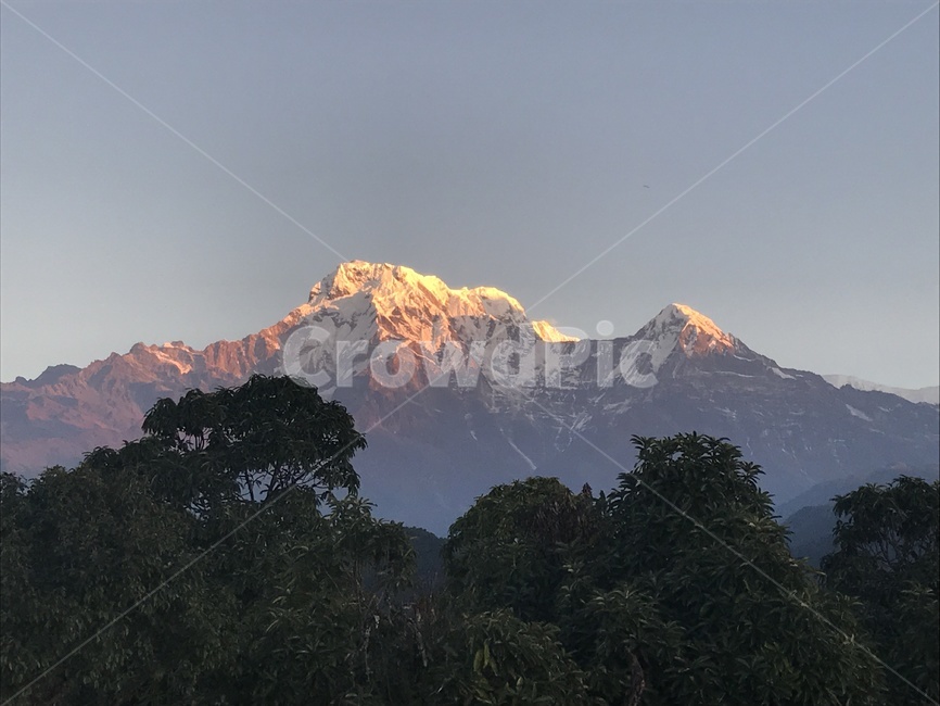네팔,산,산봉우리,봉우리,설산,일출,sunrise,mountain,nepal,나무,자연,경치,풍경,view,자연,풍경,nature,landscape,해외,외국,세계,foreign,oversea,world,세계자연풍경,해외자연풍경,외국자연풍경,world nature landscape,outdoors,옥외,mountain range,산맥,peak,피크