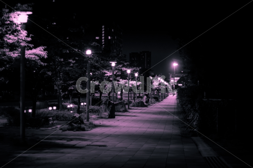 가을밤,거리,외로움,고요,새벽,puple,black,야경,밤,풍경,nightscape,night,landscape,도시,city,한국도시풍경,한국도시경관,korea cityscape,path,통로,sidewalk,보도,pavement,포장