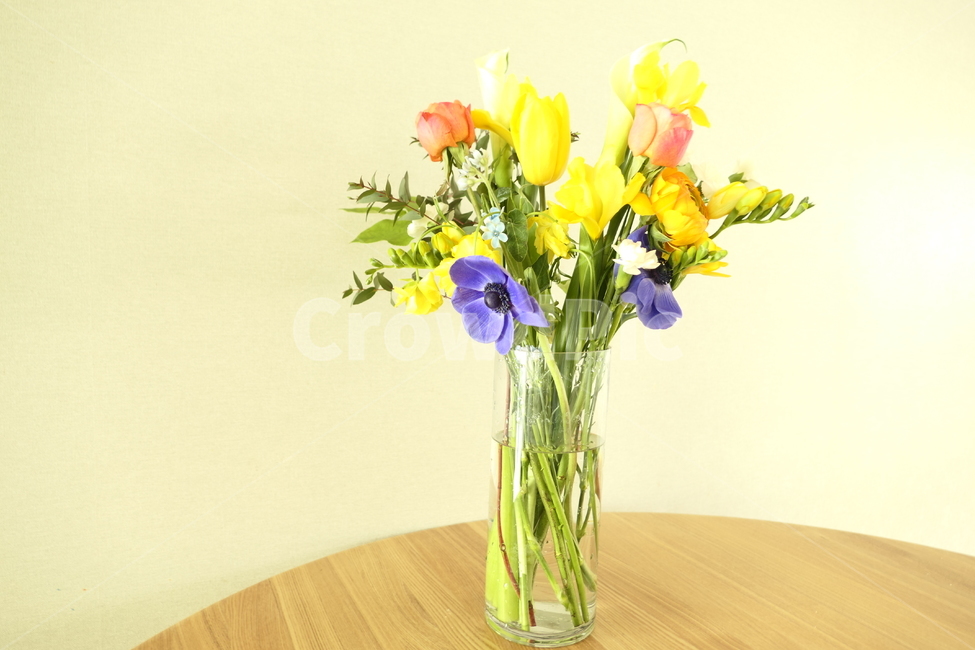 꽃다발,꽃꽂이,봄꽃,노란꽃,분홍꽃,꽃,flower,실내용화초,화분,화초,house plant