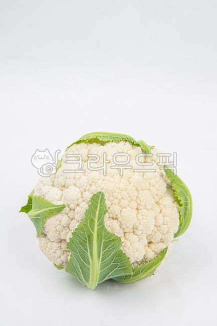 컬리플라워,채소,음식,농산물,농업,웰빙,농촌,누끼,오브젝트,초록색,라이프스타일,cauliflower,vegetable,야채,콜리플라워,음식,식재료,요리,food,cook,meal,dishes,food reserves