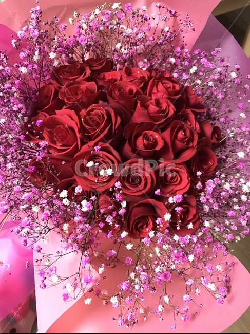 꽃,flower,blossom,flowerbouquet,꽃부케,plant,식물,꽃,flower