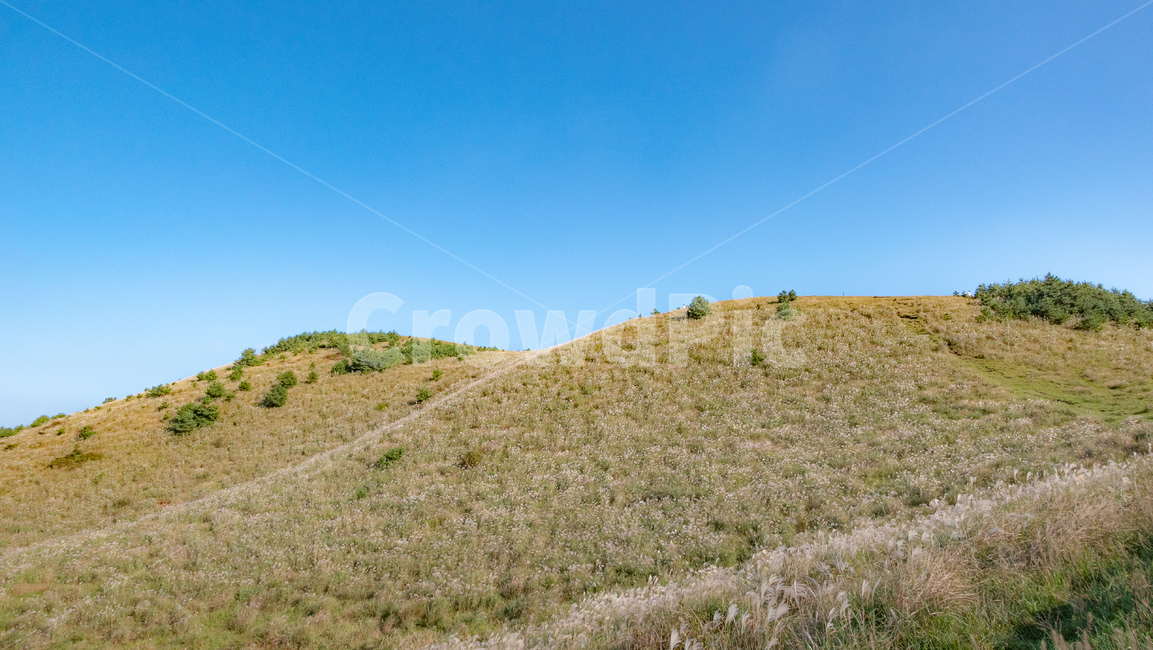 field,들,grassland,목초지,옥외,outdoors,용눈이,용눈이오름,오름,orum,jeju,제주,제주도,제주오름,가을제주,가을,자연,풍경,nature,landscape