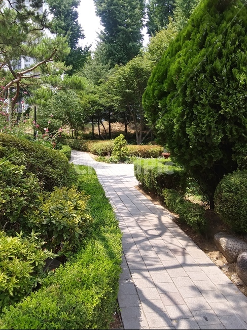 조경,공원,나무,풀,산책길,동네공원