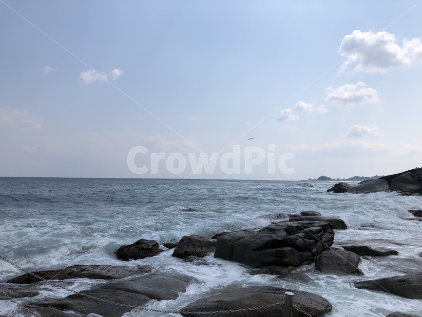 바다,갈매기,하늘,구름,새,파도,해안가,강원도,자연,풍경,nature,landscape,promontory,곶,sea,ocean,대양,water,물,outdoors,옥외