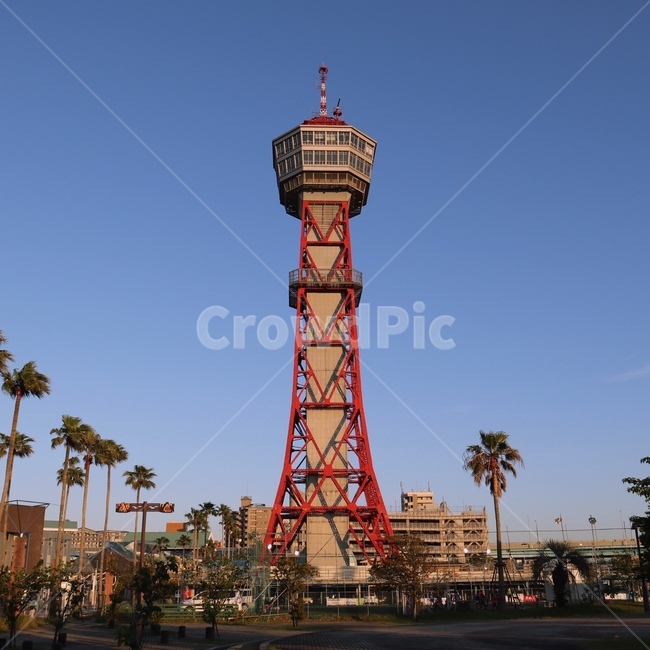 일본,japan,fukuoka,후쿠오카,풍경,타워