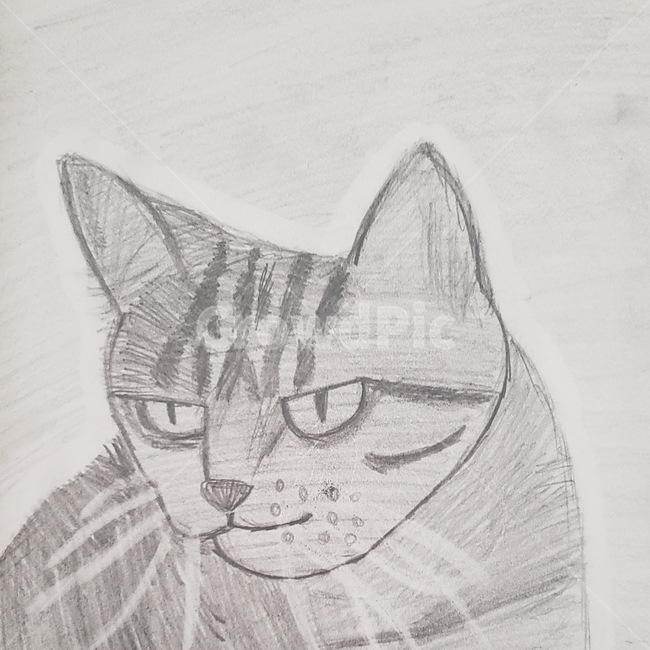 고양이,흑백,손그림,드로잉,연필로그린그림