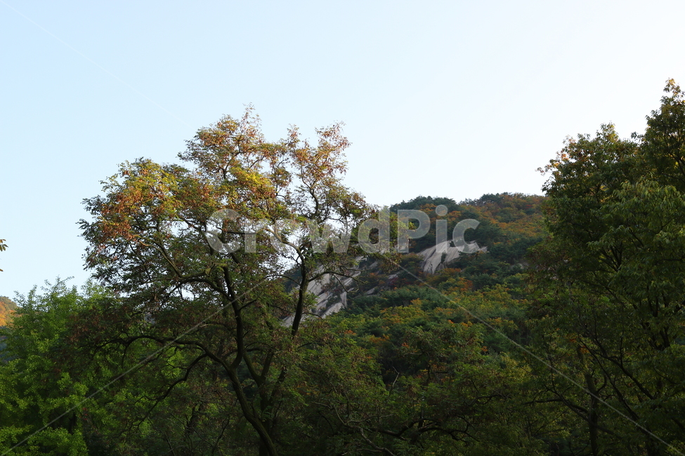 산,북한산,나무,식물,자연,풍경,등산로,산책로,공원,국립공원,북한산국립공원,소나무,자연,풍경,nature,landscape