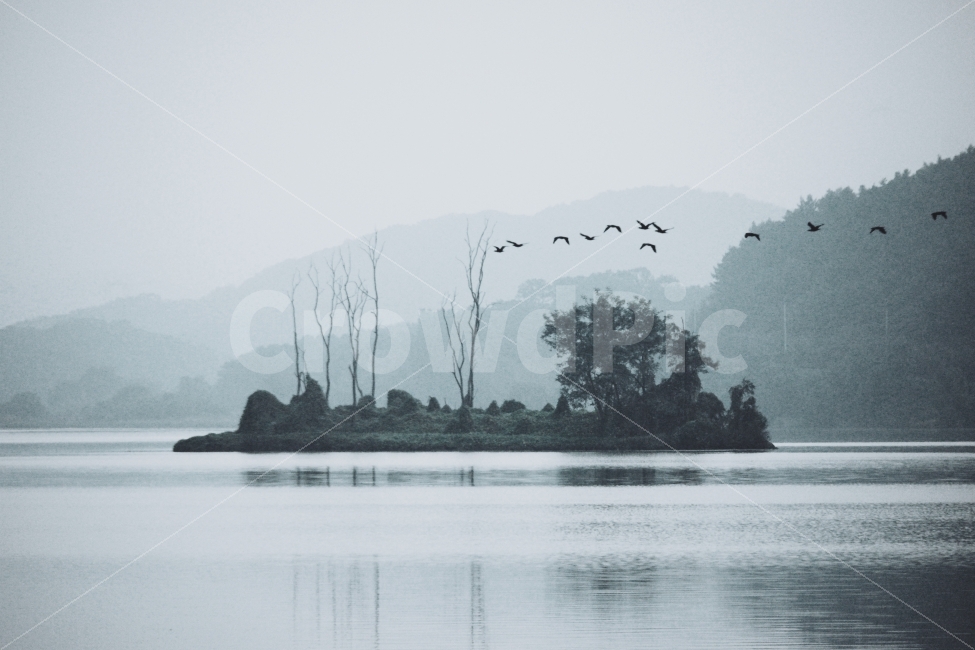 양평,두물머리,강,새,아침,고요,경관,자연,풍경,풍광,nature,landscape,한국자연풍경,한자연경관,koreanaturelandscape,감성,감정,sensible,feeling,emotion,계절,season,마을,rural,한국전통,한국문화,koreatraditional,koreaculture,plant,나무,trees,wood,자연,풍경,nature,landscape,한국자연풍경,한국자연경관,korea nature landscape,동물,animal,조류,새,birds,감성,sensible,feeling,land,땅,outdoors,옥외,water,물,shoreline,해안선,bird,sea,바다,ocean,대양