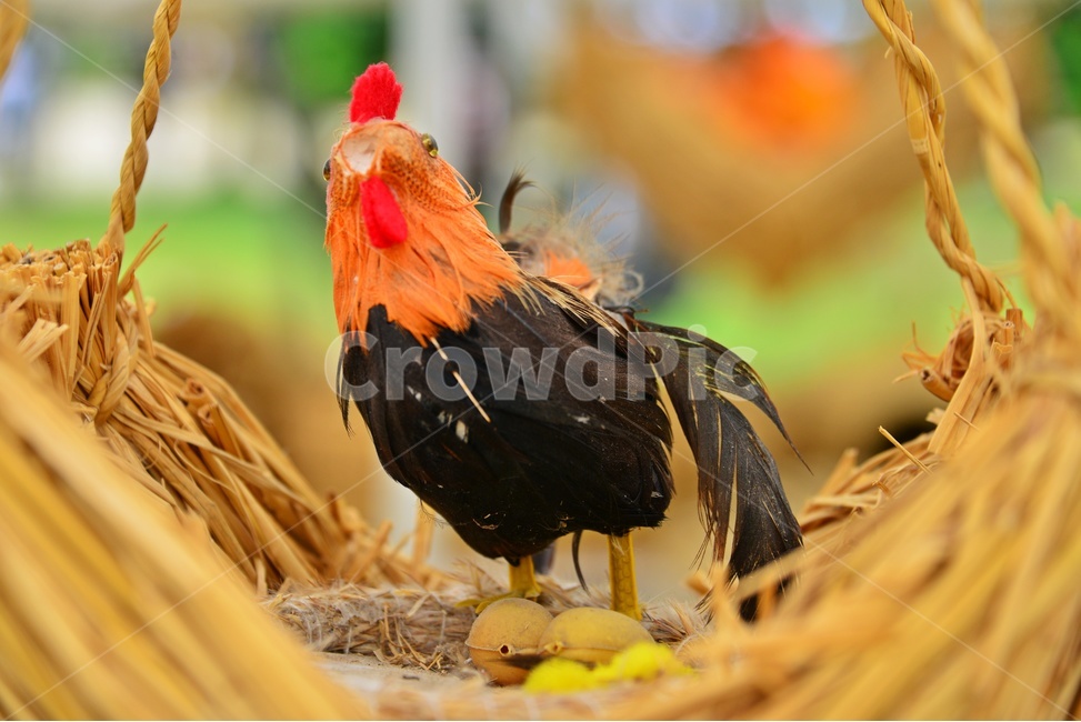 animal,동물,bird,새,짚,지푸라기,짚풀공예,공예품,수공예,볏짚,전통공예,짚공예,닭,장닭,계란