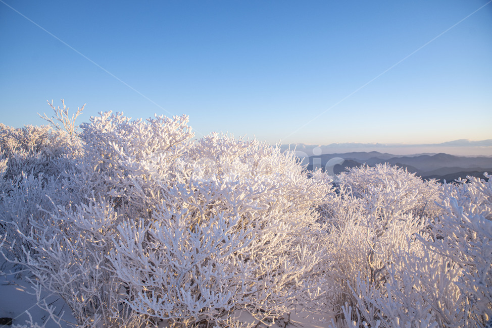 설산,태백산,겨울산,겨울,상고대,풍경,산,겨울풍경,눈꽃,겨울,계절,winter,season,자연,풍경,nature,landscape