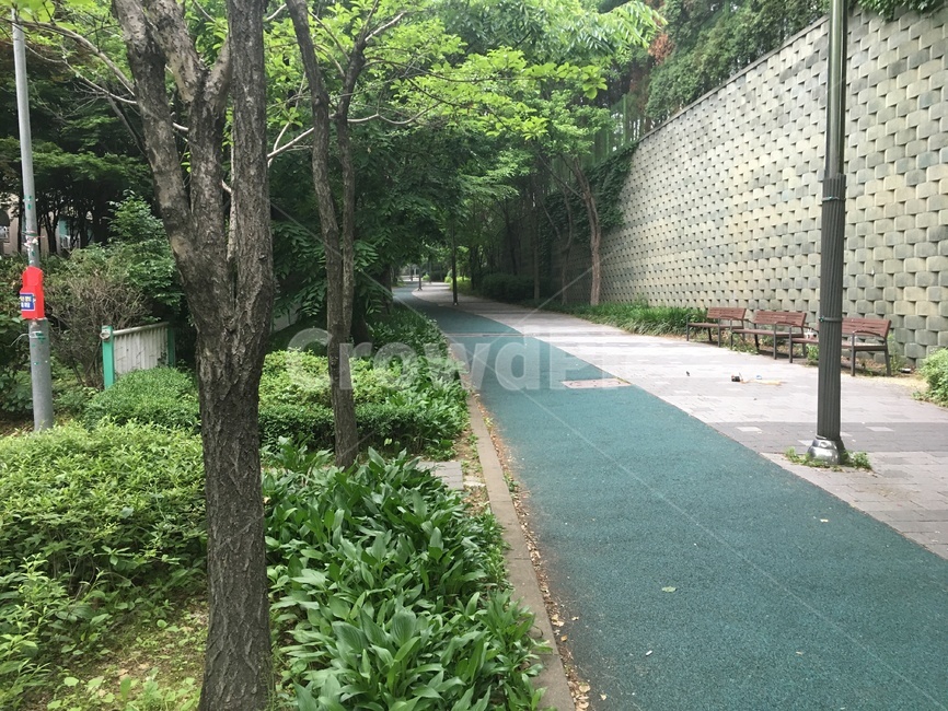 나무,tree,식물,자연,nature,경치,landscape,풍경,scenery