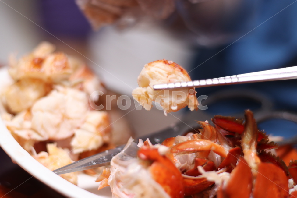 랍스타,해산물,랍스터,lobster,바닷가재