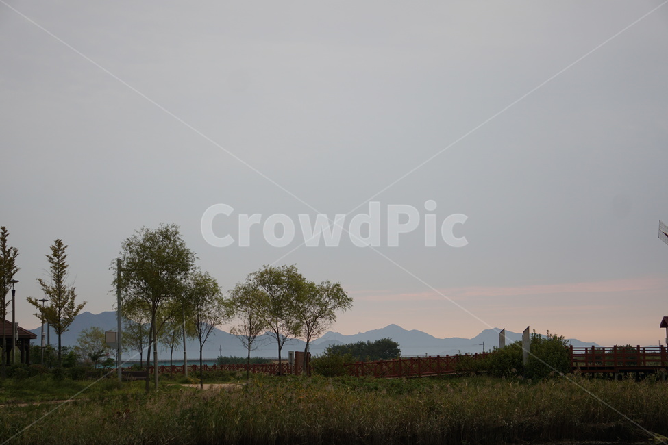 새벽,일출,공원,풍차,하늘,수변공원,자연,풍경,nature,landscape,outdoors,옥외
