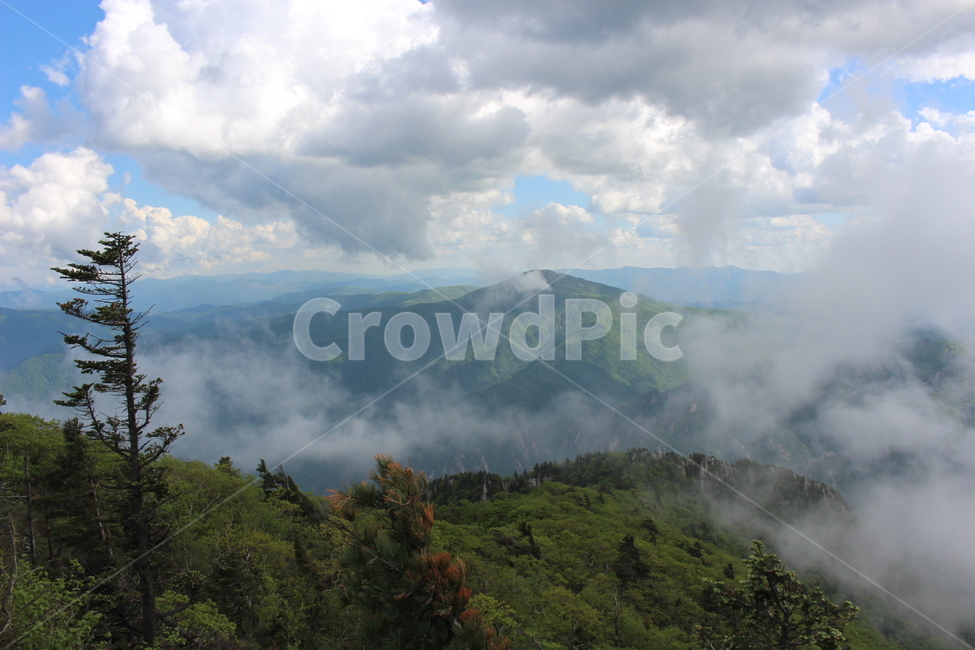 nature,자연,weather,cloud,sky,tree,mountain,등산,산,설악산,구름,하늘
