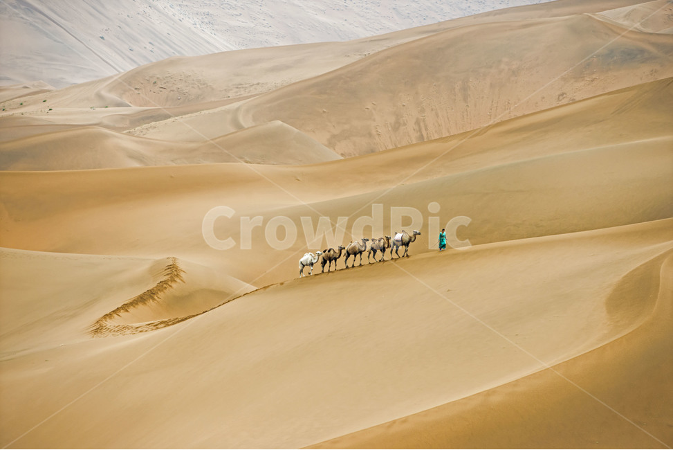 사막,몽골,바단지린,낙타,내몽고,모래언덕,sand,nature,자연,해외,외국,세계,foreign,oversea,world,여행,휴가,traveling,vacation,trip