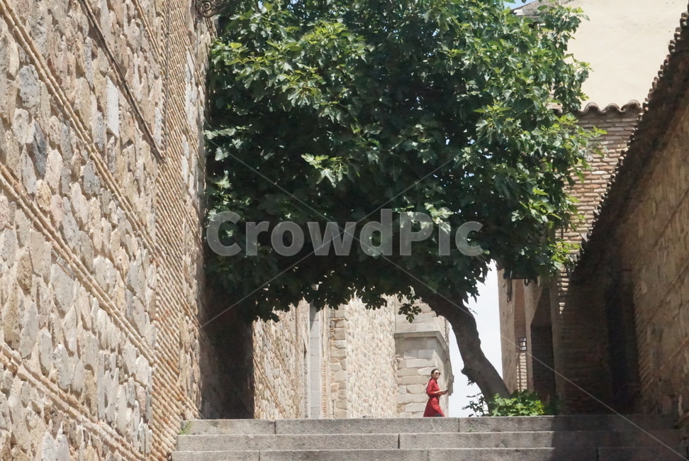 나무,행인,인물,길거리,스페인,해외,외국,세계,foreign,oversea,world,식물,자연,plants,nature,나무,trees,wood