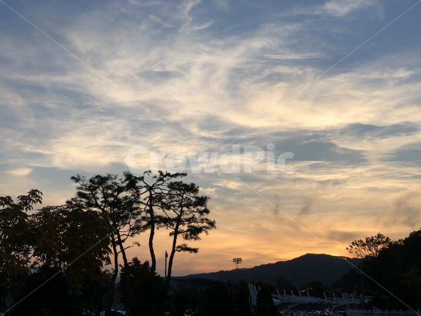 일몰,저녁하늘,충주,풍경,구름,가을,landscape,해질녘,자연,나무,nature,하늘,자연,풍경,nature,landscape,실루엣,그림자,silhouette,shadow,outdoors,옥외,dawn,새벽,red sky,붉은 하늘,sunset,sky,dusk,황혼