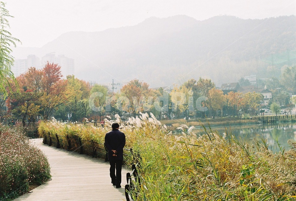 가을,fall,산책,호수,lake,filmphoto,필름사진,감성사진