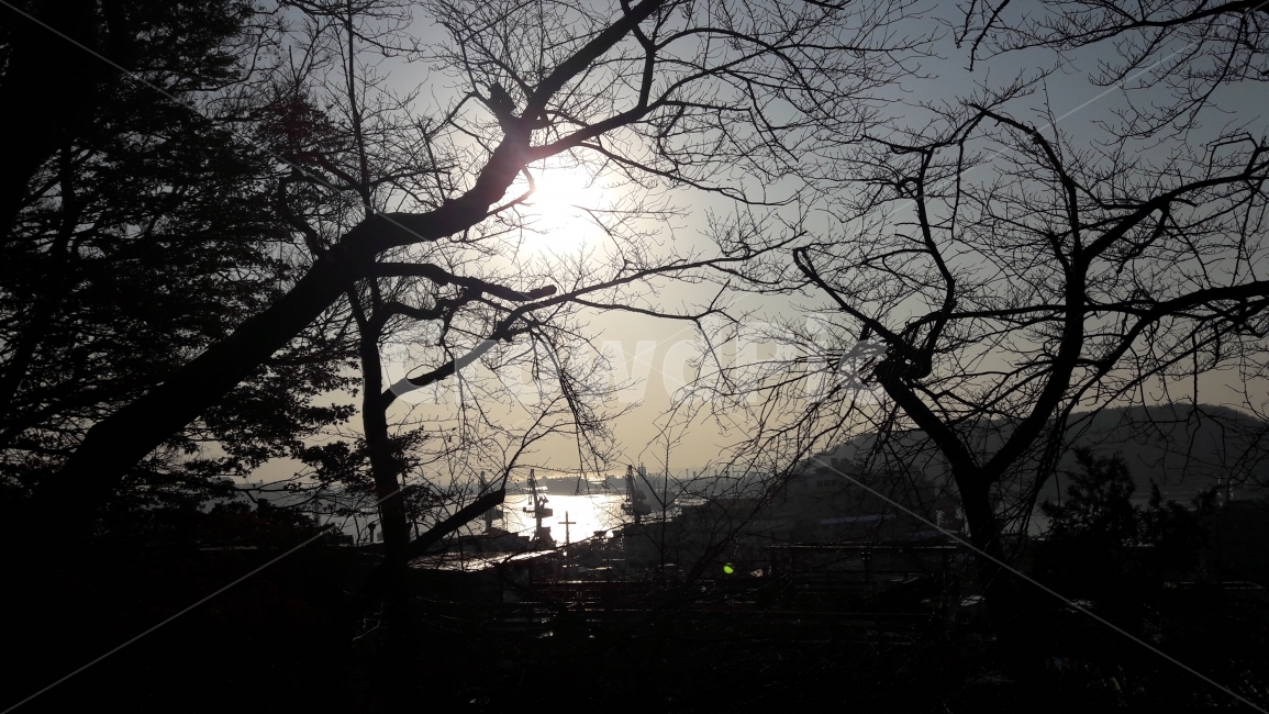 해무리,겨울,자유공원,산,전경,겨울,계절,winter,season